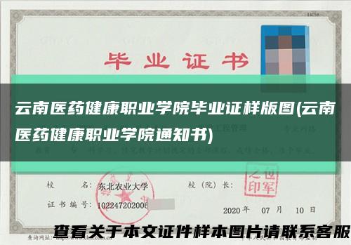 云南醫藥健康職業學院畢業證樣版圖(云南醫藥健康職業學院通知書)縮略圖