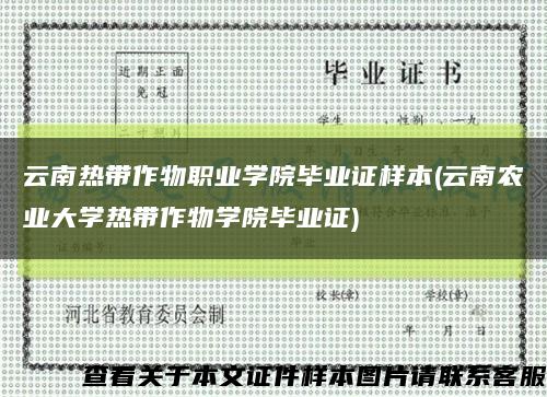 云南熱帶作物職業學院畢業證樣本(云南農業大學熱帶作物學院畢業證)縮略圖