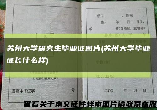 蘇州大學研究生畢業證圖片(蘇州大學畢業證長什么樣)縮略圖