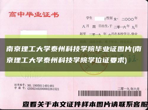 南京理工大學泰州科技學院畢業證圖片(南京理工大學泰州科技學院學位證要求)縮略圖
