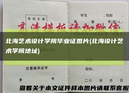 北海藝術設計學院畢業證圖片(北海設計藝術學院地址)縮略圖