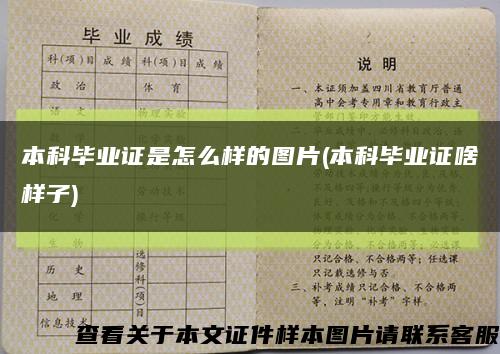 本科畢業證是怎么樣的圖片(本科畢業證啥樣子)縮略圖