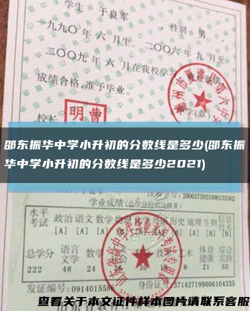 邵東振華中學小升初的分數線是多少(邵東振華中學小升初的分數線是多少2021)縮略圖