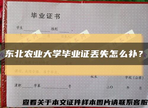 東北農業大學畢業證丟失怎么補？縮略圖
