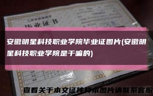 安徽明星科技職業學院畢業證圖片(安徽明星科技職業學院是干嘛的)縮略圖