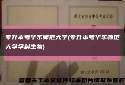 專升本考華東師范大學(專升本考華東師范大學學科生物)縮略圖