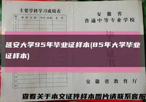 延安大學95年畢業證樣本(85年大學畢業證樣本)縮略圖
