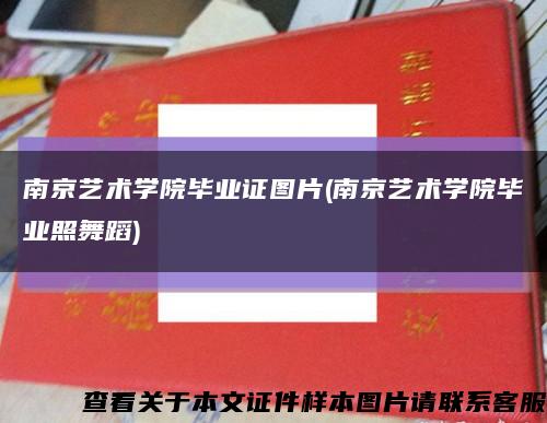 南京藝術學院畢業證圖片(南京藝術學院畢業照舞蹈)縮略圖