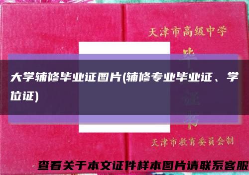 大學輔修畢業證圖片(輔修專業畢業證、學位證)縮略圖