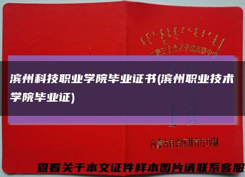 濱州科技職業學院畢業證書(濱州職業技術學院畢業證)縮略圖