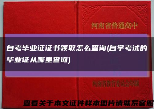 自考畢業證證書領取怎么查詢(自學考試的畢業證從哪里查詢)縮略圖