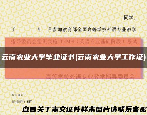 云南農業大學畢業證書(云南農業大學工作證)縮略圖