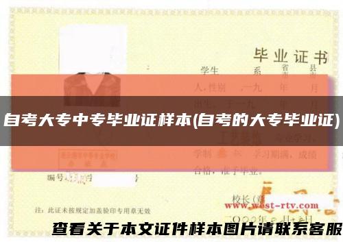 自考大專中專畢業證樣本(自考的大專畢業證)縮略圖
