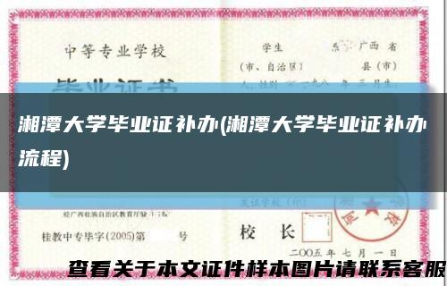 湘潭大學畢業證補辦(湘潭大學畢業證補辦流程)縮略圖
