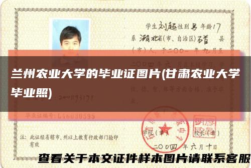蘭州農業大學的畢業證圖片(甘肅農業大學畢業照)縮略圖