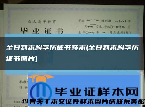 全日制本科學歷證書樣本(全日制本科學歷證書圖片)縮略圖