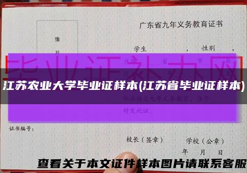 江蘇農業大學畢業證樣本(江蘇省畢業證樣本)縮略圖