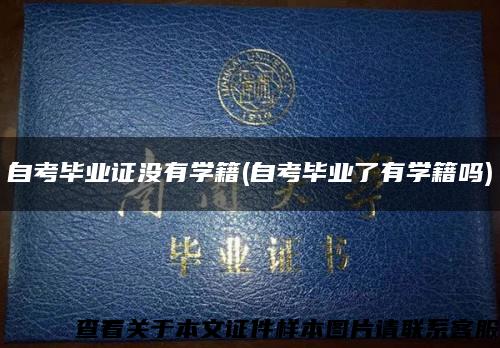 自考畢業證沒有學籍(自考畢業了有學籍嗎)縮略圖