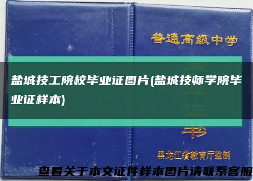 鹽城技工院校畢業證圖片(鹽城技師學院畢業證樣本)縮略圖