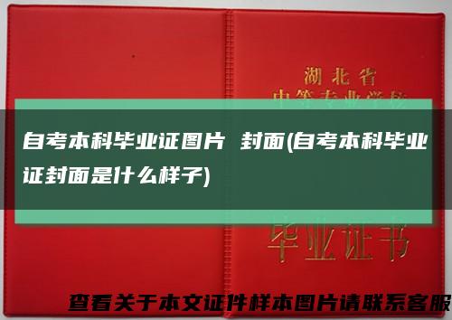 自考本科畢業證圖片 封面(自考本科畢業證封面是什么樣子)縮略圖