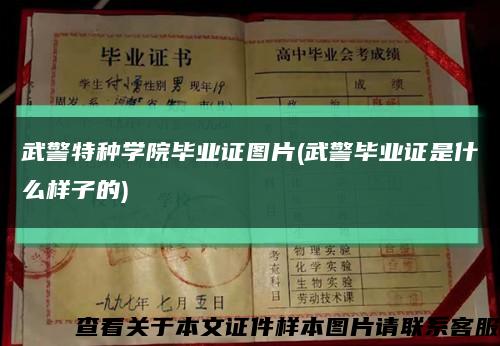 武警特種學院畢業證圖片(武警畢業證是什么樣子的)縮略圖