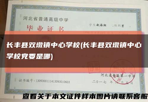長豐縣雙墩鎮中心學校(長豐縣雙墩鎮中心學校黨委是哪)縮略圖