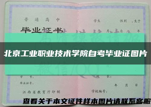 北京工業職業技術學院自考畢業證圖片縮略圖