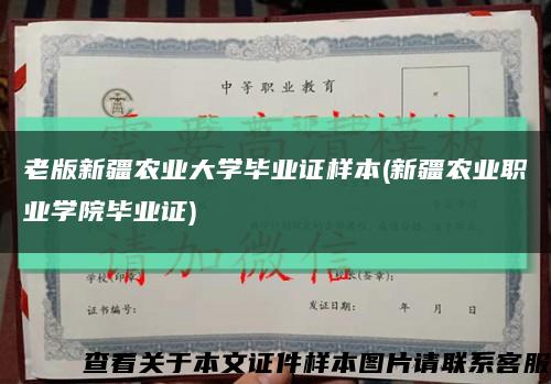 老版新疆農業大學畢業證樣本(新疆農業職業學院畢業證)縮略圖