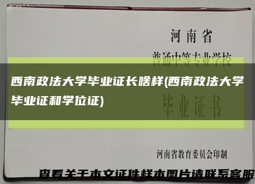 西南政法大學畢業證長啥樣(西南政法大學畢業證和學位證)縮略圖