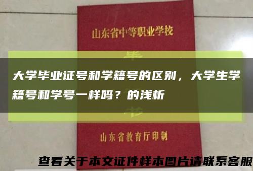 大學畢業證號和學籍號的區別，大學生學籍號和學號一樣嗎？的淺析縮略圖