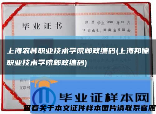 上海農林職業技術學院郵政編碼(上海邦德職業技術學院郵政編碼)縮略圖