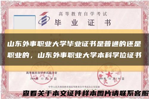 山東外事職業大學畢業證書是普通的還是職業的，山東外事職業大學本科學位證書縮略圖
