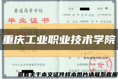 重慶工業職業技術學院縮略圖