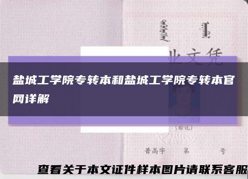 鹽城工學院專轉本和鹽城工學院專轉本官網詳解縮略圖