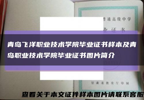 青島飛洋職業技術學院畢業證書樣本及青島職業技術學院畢業證書圖片簡介縮略圖