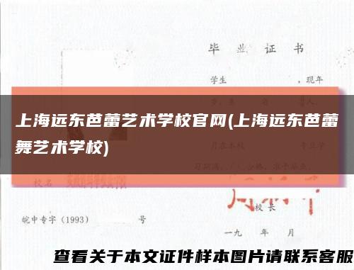 上海遠東芭蕾藝術學校官網(上海遠東芭蕾舞藝術學校)縮略圖
