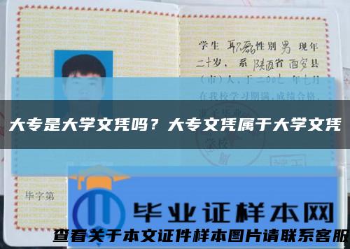 大專是大學文憑嗎？大專文憑屬于大學文憑縮略圖