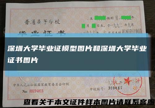 深圳大學畢業證模型圖片和深圳大學畢業證書圖片縮略圖