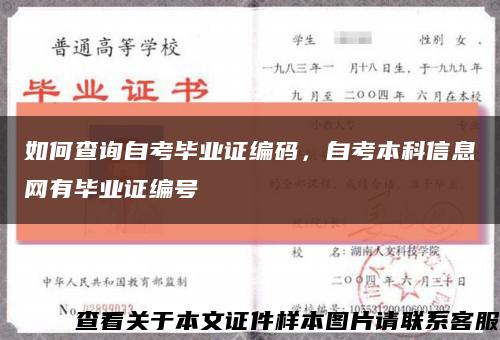 如何查詢自考畢業證編碼，自考本科信息網有畢業證編號縮略圖
