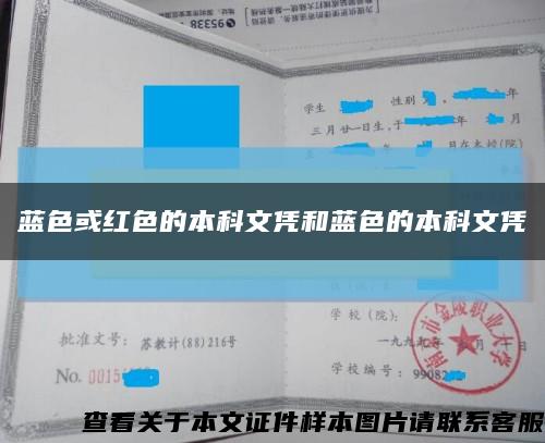 藍色或紅色的本科文憑和藍色的本科文憑縮略圖