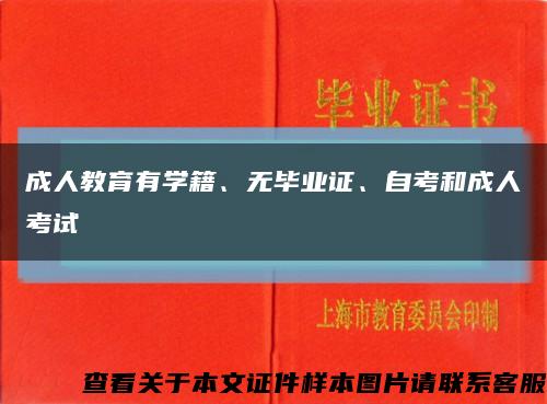 成人教育有學籍、無畢業證、自考和成人考試縮略圖