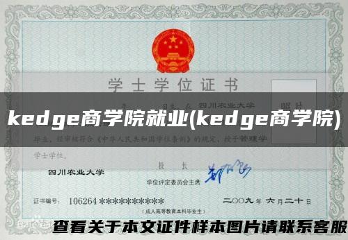 kedge商學院就業(kedge商學院)縮略圖