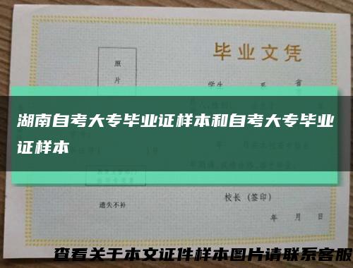 湖南自考大專畢業證樣本和自考大專畢業證樣本縮略圖