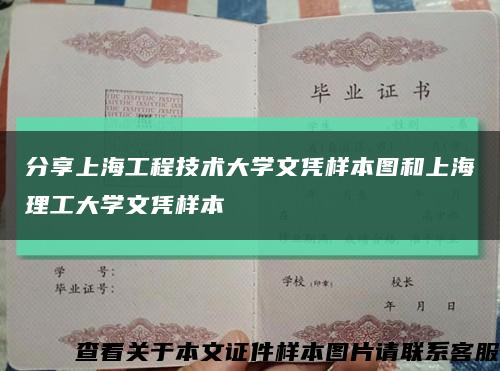 分享上海工程技術大學文憑樣本圖和上海理工大學文憑樣本縮略圖