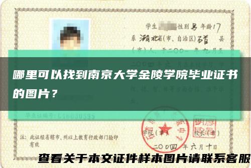 哪里可以找到南京大學金陵學院畢業證書的圖片？縮略圖