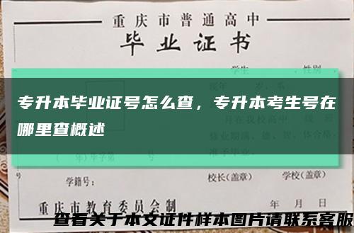 專升本畢業證號怎么查，專升本考生號在哪里查概述縮略圖