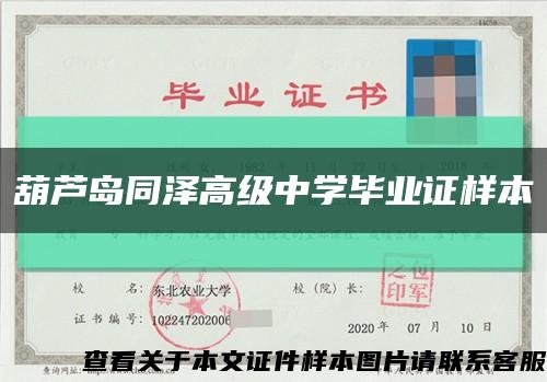 葫蘆島同澤高級中學畢業證樣本縮略圖