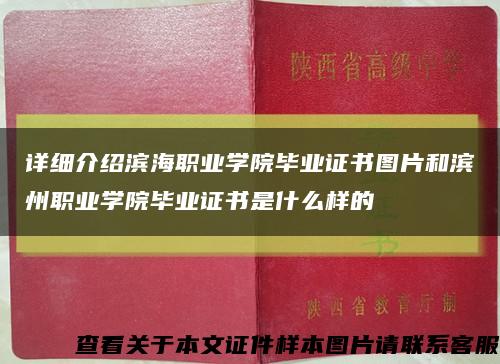 詳細介紹濱海職業學院畢業證書圖片和濱州職業學院畢業證書是什么樣的縮略圖