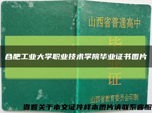 合肥工業大學職業技術學院畢業證書圖片縮略圖