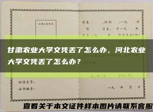 甘肅農業大學文憑丟了怎么辦，河北農業大學文憑丟了怎么辦？縮略圖